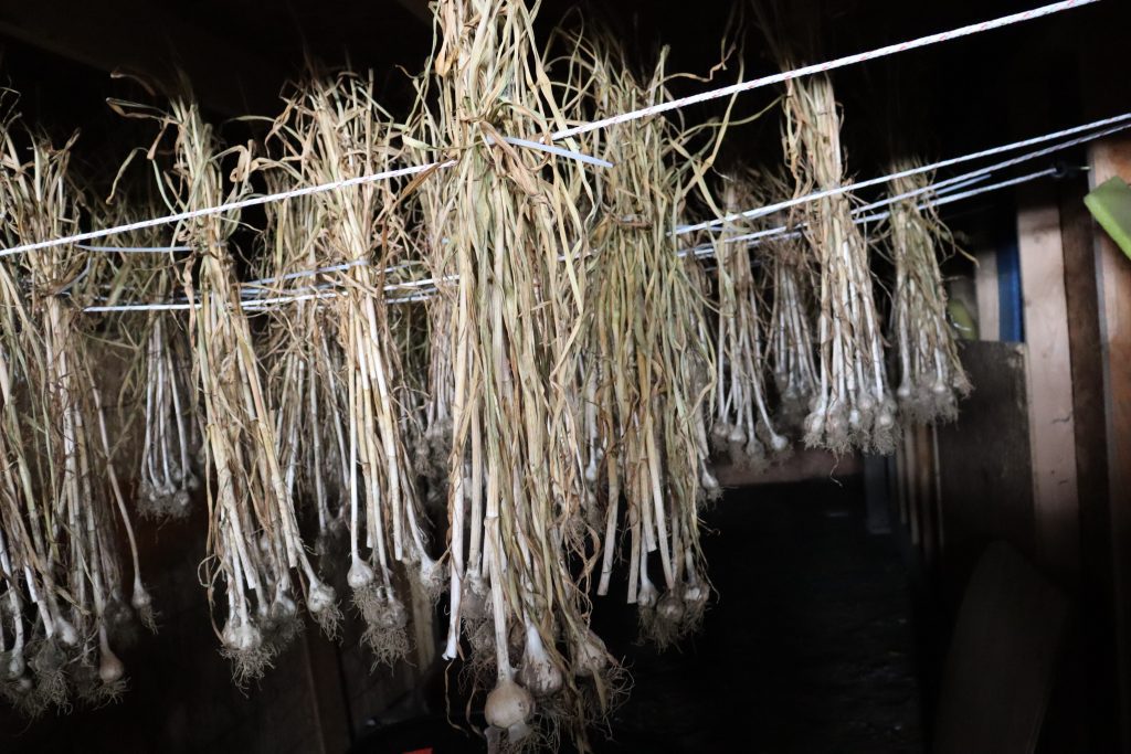 La Ferme La Tête ailleurs, Stéphanie Arteau, a bénéficié d’un prêt provenant du Fonds de microcrédit agricole (FMAVR).