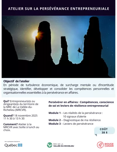 Publicité sur la persévérance entrepreneuriale (2)